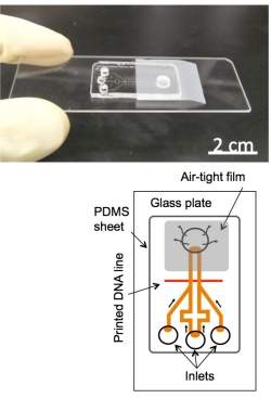 Biochip que detecta RNA faz exames em apenas 20 minutos