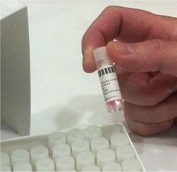 Frasco com vrus mortal desaparece de laboratrio nos EUA